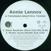 Annie Lennox : A Thousand Beautiful Things (2x12", Promo)