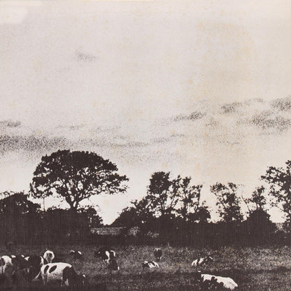 Pink Floyd : Atom Heart Mother = 原子心母 (LP, Album, Quad, RE, Gat)