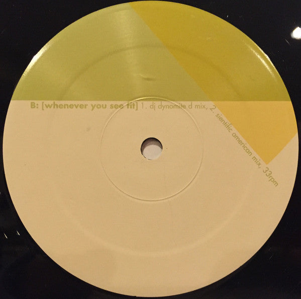 Modest Mouse / 764-HERO : Whenever You See Fit (12")