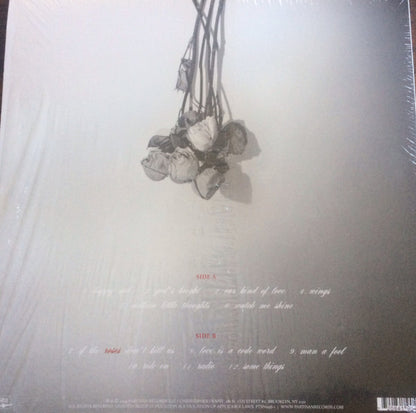 Christopher Denny : If The Roses Don't Kill Us (LP, Album)