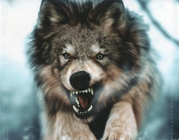 Sonata Arctica : For The Sake Of Revenge (DVD-V, NTSC + CD, Album)