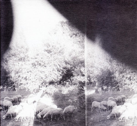 Godspeed You! Black Emperor* : Asunder, Sweet And Other Distress (CD, Album)