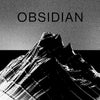 Benjamin Damage : Obsidian (2xLP, Album)