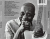 Buddy Guy : Born To Play Guitar (CD, Album)