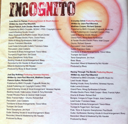 Incognito : In Search Of Better Days (CD, Album)
