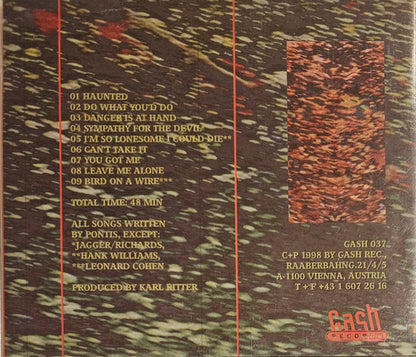 Pontis : Danger Is At Hand (CD, Album)