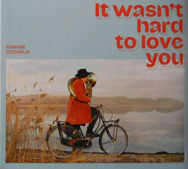 It Wasn't Hard To Love You